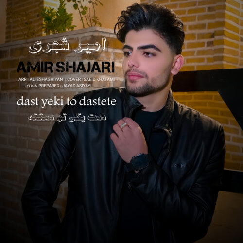دانلود آهنگ امیر شجری دست یکی تو دستته